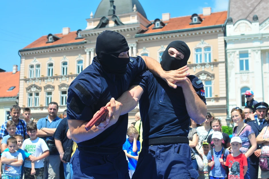 Prikaz borilačkih veština