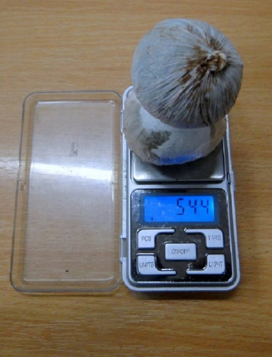 Carinici na Gradini našli drogu u nuteli