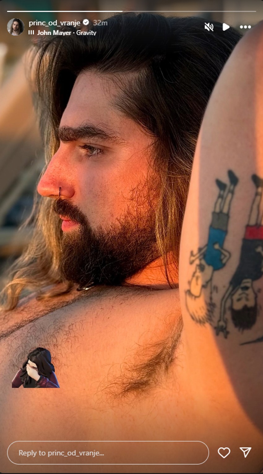 Skinuo se Princ od Vranje