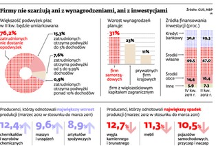 Paniki nie będzie, będą inwestycje