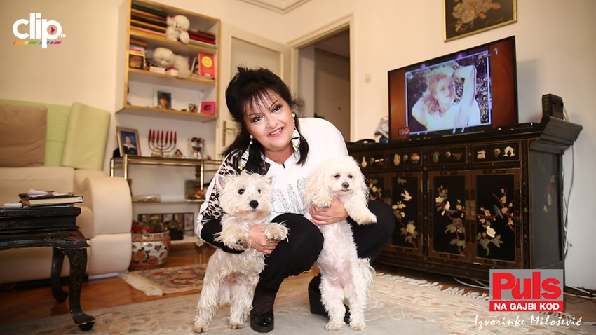 na_gajbi_kod_izvorinke_milosevic_zab_clip_safe