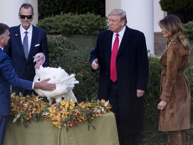 Melania i Donald Trumpowie