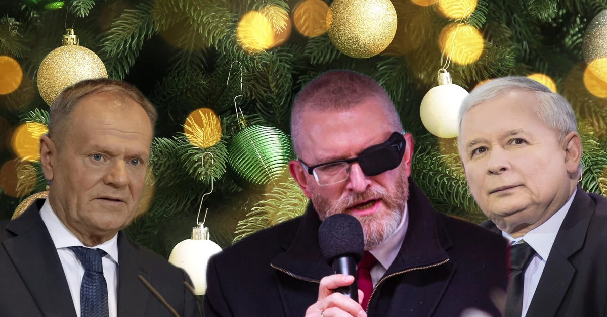 Świąteczny prezent dla partii. Braun wchodzi do gry, PSL za burtą [SONDAŻ]