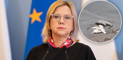 "Odra to najlepiej przebadana rzeka w Europie". Tak ministerstwo klimatu uspokaja Polaków