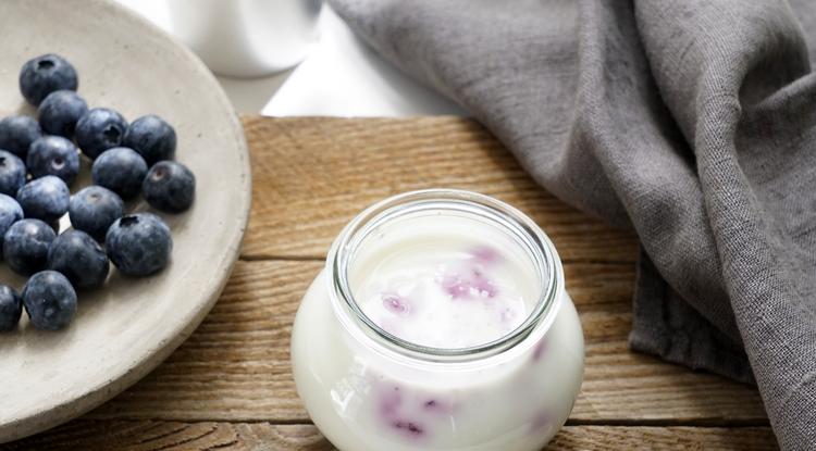 Joghurt gyümölccsel remek alternatíva Fotó: Northfoto