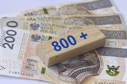 Nie 800+, a 1600+. Kto otrzyma podwójne świadczenie w sierpniu? [HARMONOGRAM WYPŁAT]