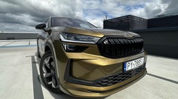 ma silnik 2.0 i spala 5,3 l na 100 km. skoda trzęsie rynkiem. cena hitem