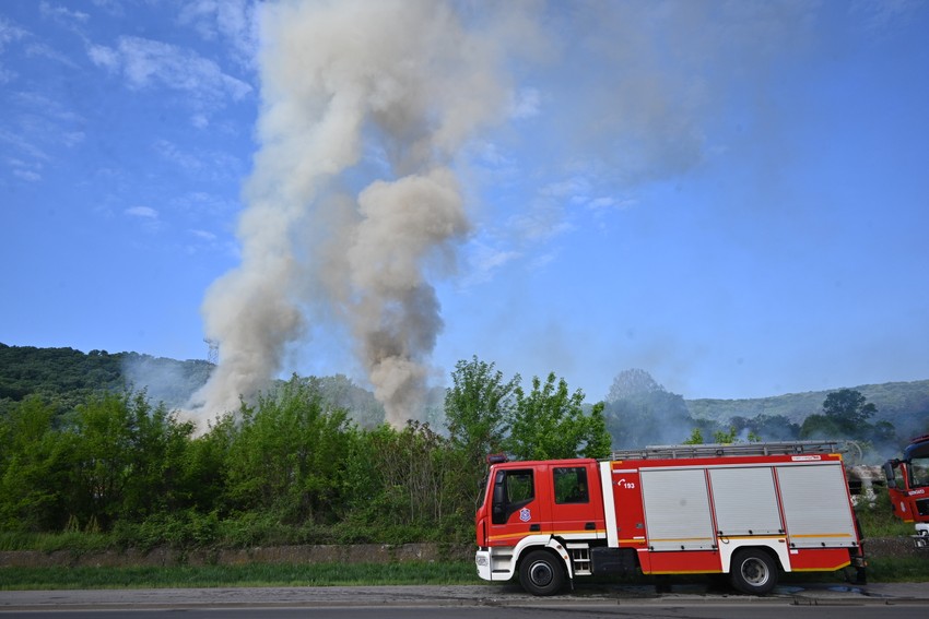 Požar na Košutnjaku