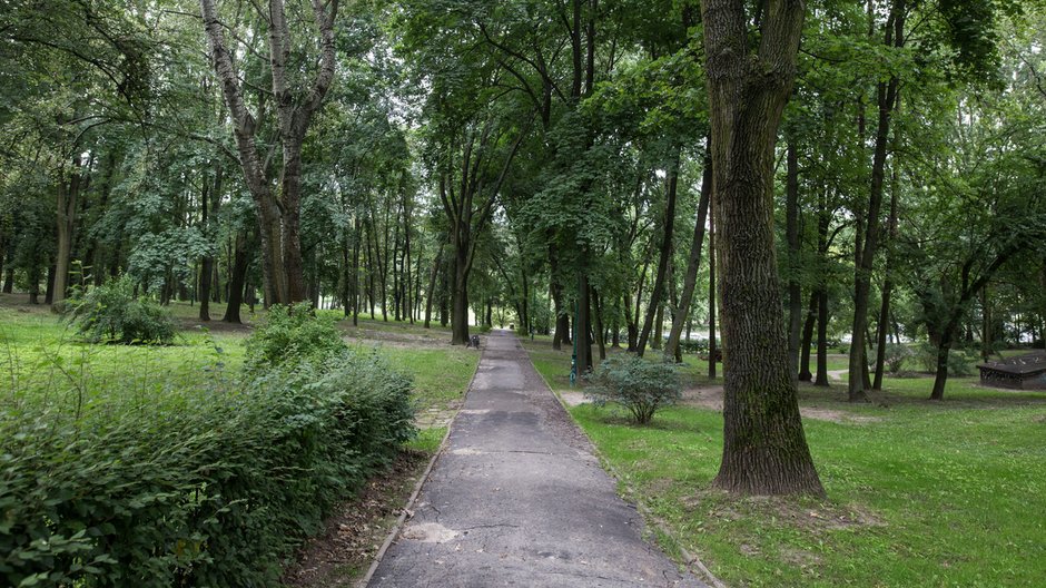 Park Akademicki w miasteczku akademickim UMCS