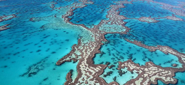 UNESCO nie umieści Wielkiej Rafy Koralowej na liście obiektów zagrożonych