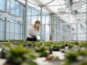 Le van maradva az innovációval a hazai mezőgazdaság, miközben a kibocsátásai nőnek