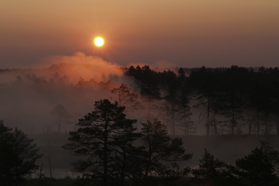 Estonia, park narodowy Lahemaa