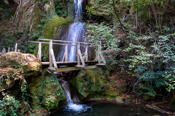 VODA KOJA LEČI: U ovom delu Srbije postoji česma koju meštani rado posećuju, a netaknuta priroda je OČARAVAJUĆA