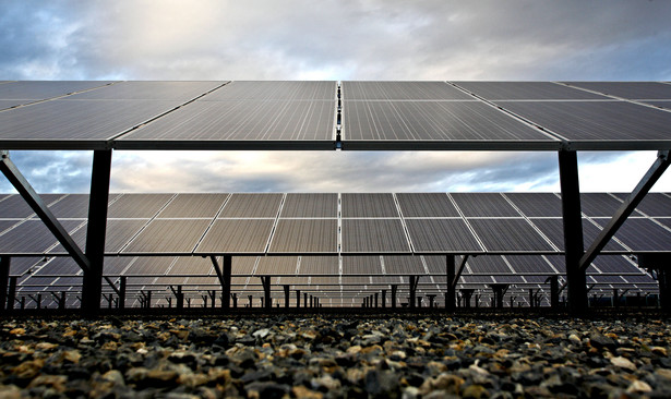 Panele w elektrowni słonecznej w Kalifornii