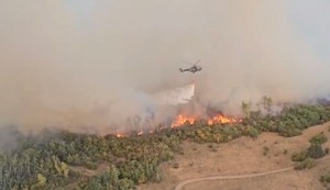 Helikopter Super Puma gasi požar u Deliblatskoj peščari