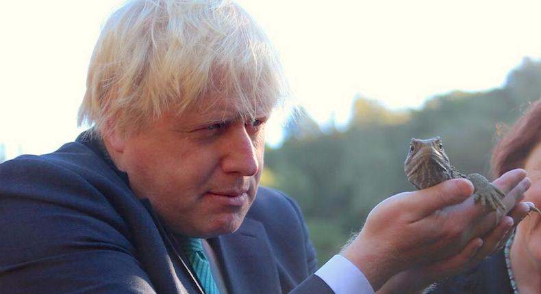 British Foreign Secretary Boris Johnson (left) holds a lizard during a visit to Zealandia, a wildlife sanctuary area located in Wellington, New Zealand, July 25, 2017.