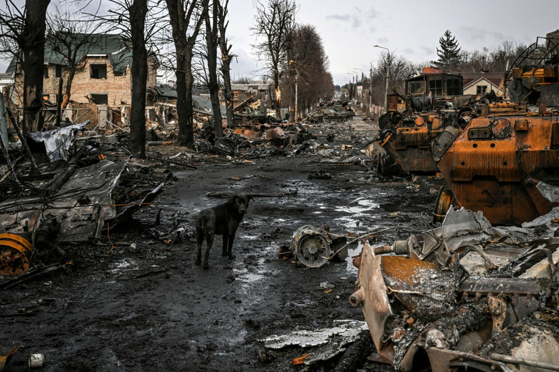 Zniszczone rosyjskie pojazdy opancerzone w Buczy, pobliże Kijowa, Ukraina, 4 marca 2022 r.