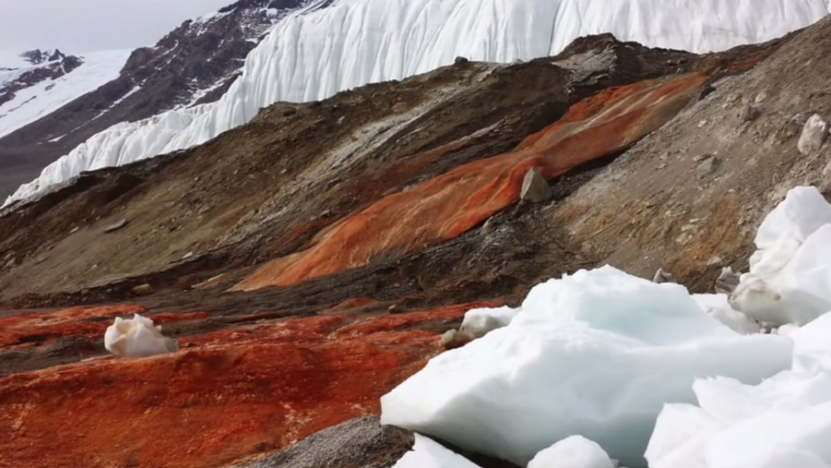Czerwone wodospady wypływające z białych lodów Antarktydy wyglądają niesamowicie. Zostały odkryte w 1911 roku. Choć nazywane są „krwawymi”, to nie mają z krwią wiele wspólnego.