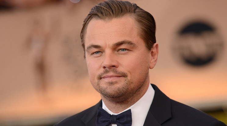 Leonardo DiCaprio már megint modellel szűrte össze a levet /Fotó:Northfoto