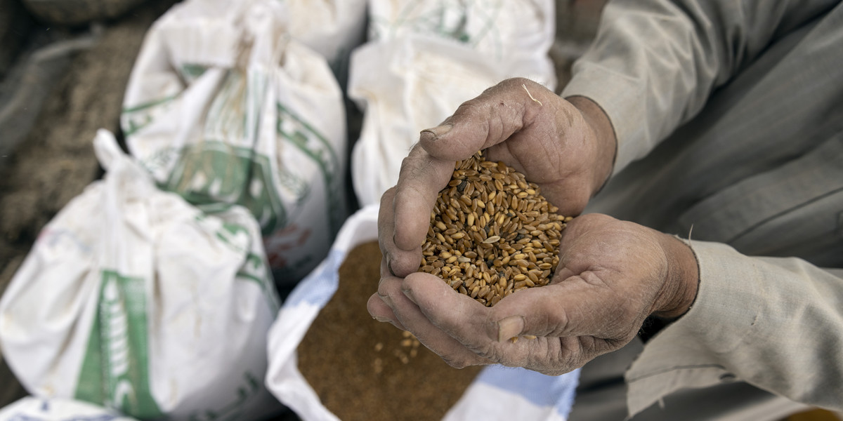 Rosja i Ukraina są czołowymi dostawcami zboża dla Afryki, łącznie dostarczając 40 proc. importowanej pszenicy.