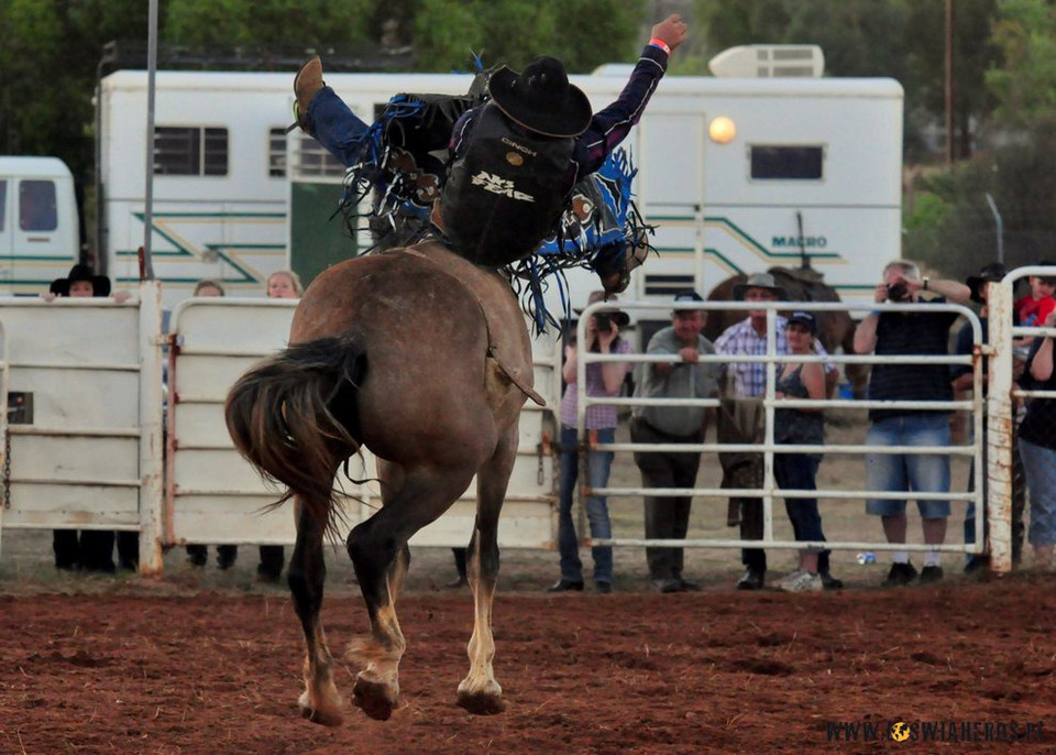 Wilmington Rodeo