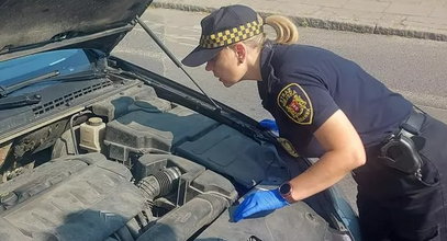 Spod maski samochodu dobiegał dziwny dźwięk. Maluch siedział w silniku i wzywał pomocy!