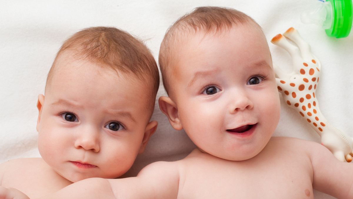 Syjamskie bliźniaki skutkiem błędu we wczesnym okresie zarodkowym