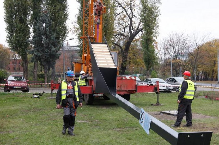 W Gdańsku stanęły wieże lęgowe dla jerzyków