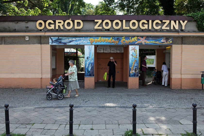 Piknik Przyrodniczy w Starym Zoo