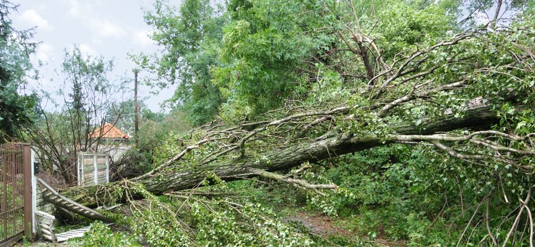 Tysiące ludzi bez prądu, połamane drzewa i uszkodzone budynki. Orkan "Barbara" nad Polską