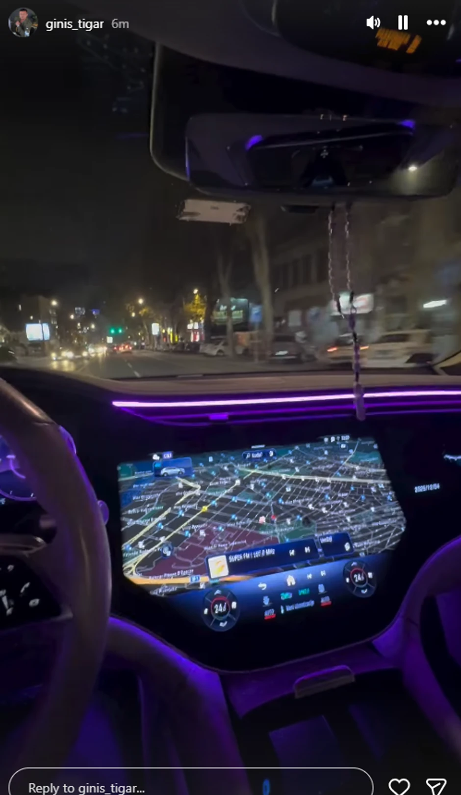 Tigar se vozi u luksuznom automobilu