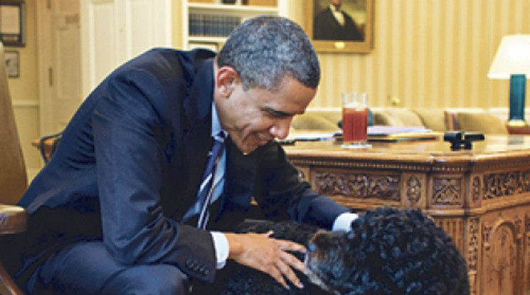 Húsz kilósra nőtt Obama kutyája
