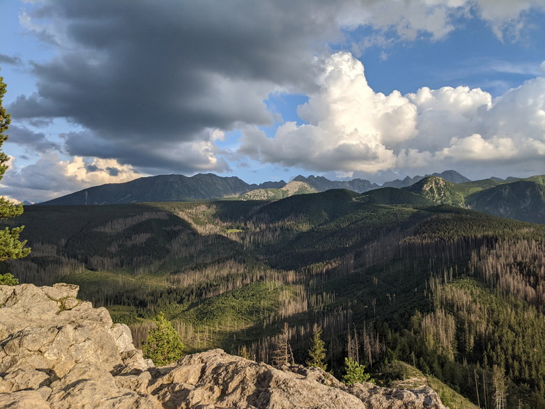 Panorama z Nosala. 