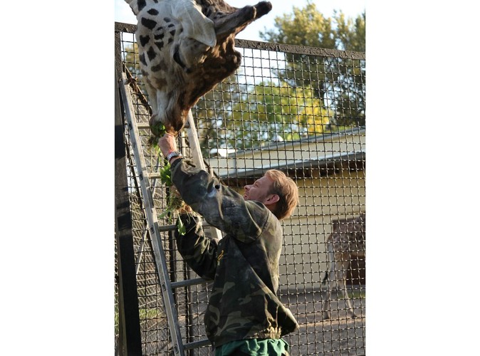Woli i Tysio na pokładzie