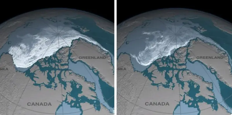 WWF 10 Year Challenge