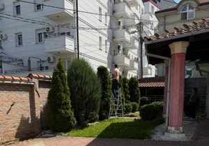 Peja pokazao kako sređuje dvorište
