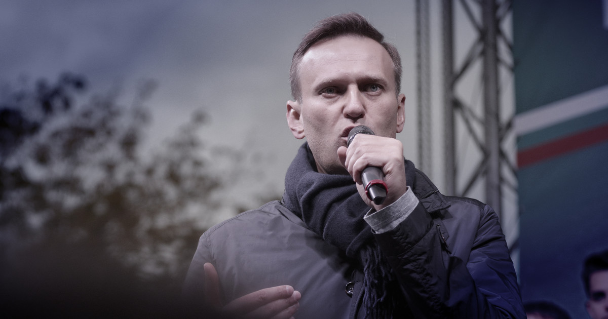 „Navalny are sprijinul Kremlinului de mult timp.”  Extras din cartea „Pachetul lui Putin”