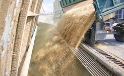 Przełom ws. zboża z Ukrainy. W Stambule zostanie podpisane porozumienie