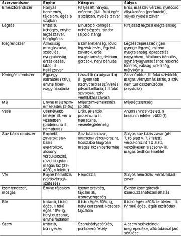 mergezesek-tabla-kicsi-d000010A29726ebb880b0