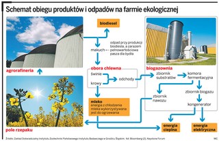 Na Śląsku rusza pierwsza w Europie biogazownia rolnicza