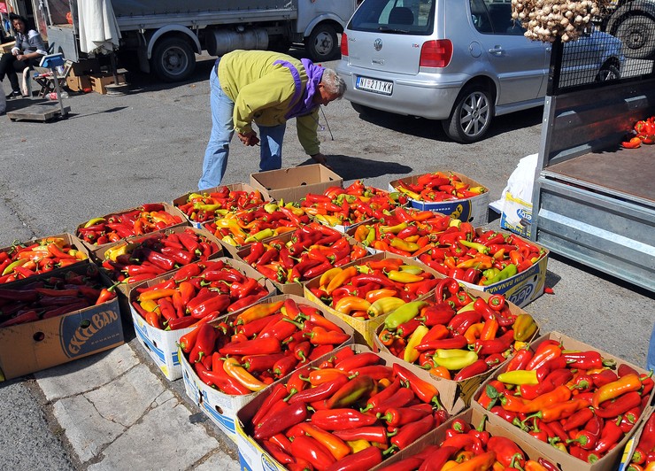 CENE SKOČILE Pijace prepune paprika, a evo koje su NAJBOLJE ZA AJVAR