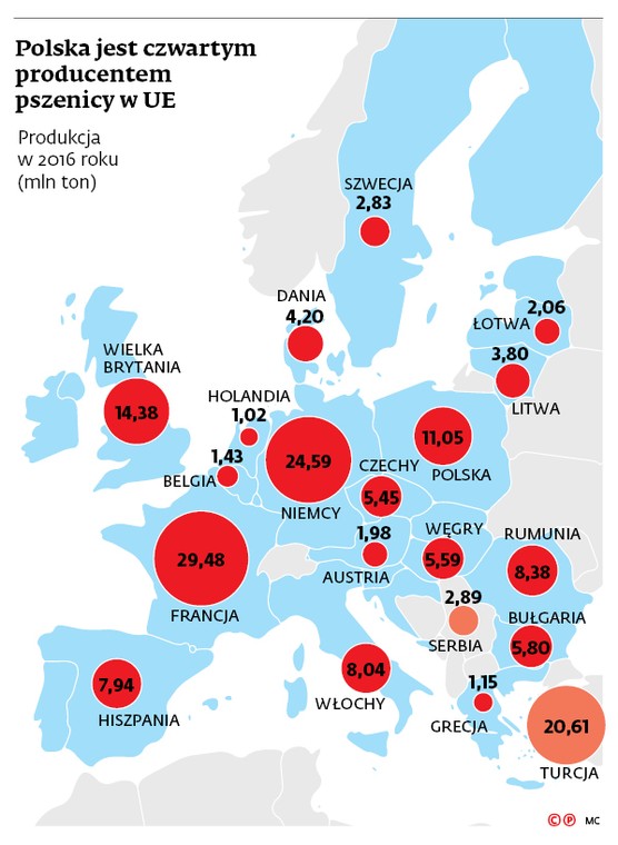 Polska jest czwartym producentem pszenicy w UE