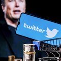 Twitter Elona Muska zagrożony. Poznaj pięć alternatywnych platform