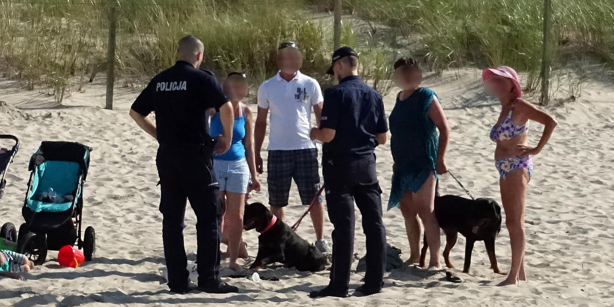 Mrożące krew w żyłach sceny na plaży. Rottweiler pogryzł chłopca, a właścicielka psa zaatakowała rodzinę dziecka i policjanta