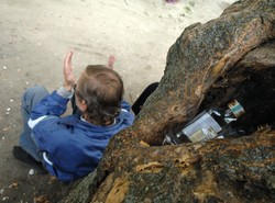 Bimber podbija Polskę