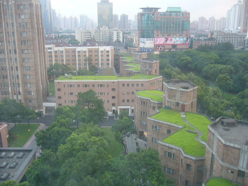 Beograd bi trebalo da sledi primere Njujorka, Londona i Singapura, ističu pejzažne arhitekte