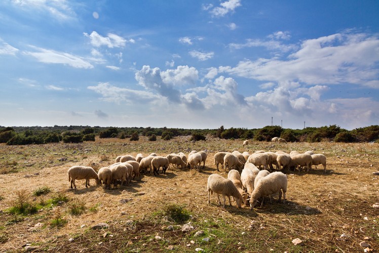 Malownicza Chorwacja