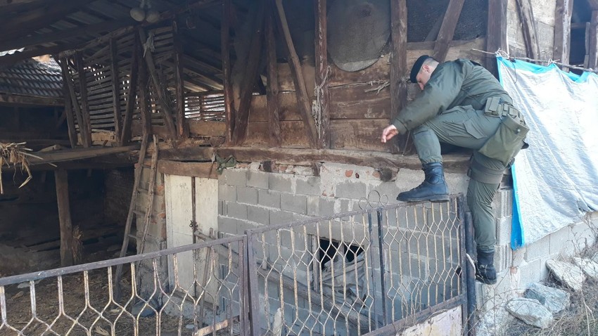 Potraga za Malčanskim berberinom i Monikom proširila se i na teritoriju oko Zaječara