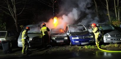 Dramat fundacji pomagającej dzieciom z białaczką. Samochody stanęły w płomieniach. "To było podpalenie"