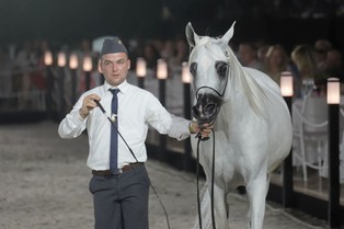 Pride of Poland: Aukcja koni arabskich czystej krwi przyniosła ponad 2 mln euro